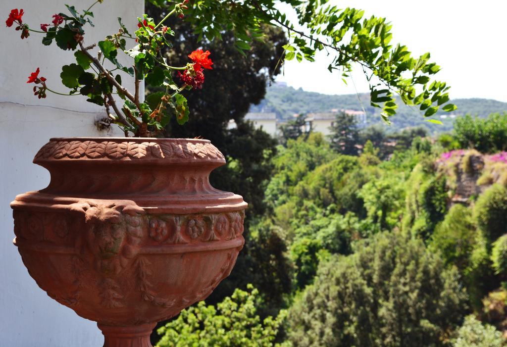 Relais La Rupe Hotel Sorrento Exterior photo